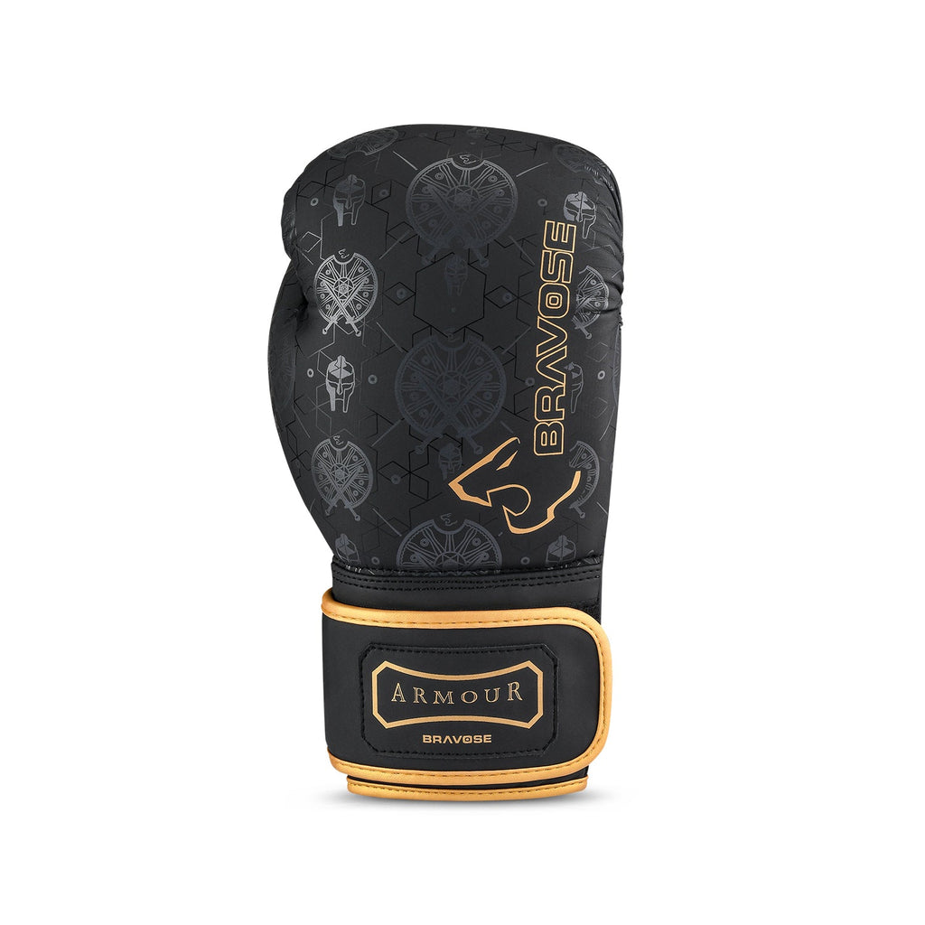 Armour 2.0 Boxing Gloves-1
